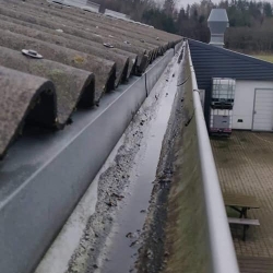 Før Tagrenderens