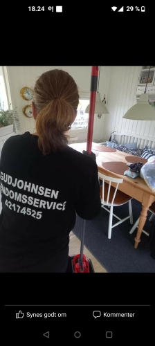 Erhvervsrengøring i Brovst