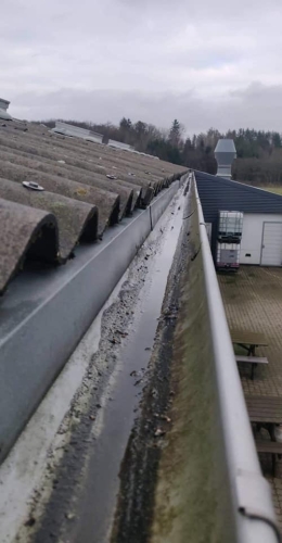 Før Tagrenderens